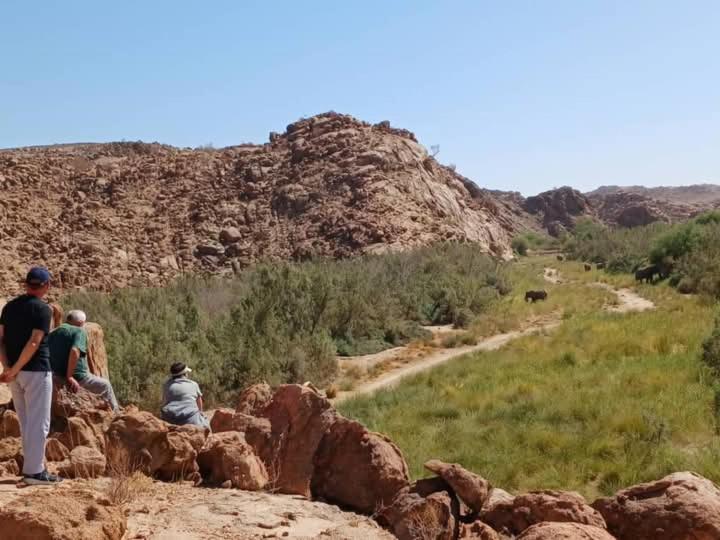 Brandberg White Lady Lodge Uis Bagian luar foto