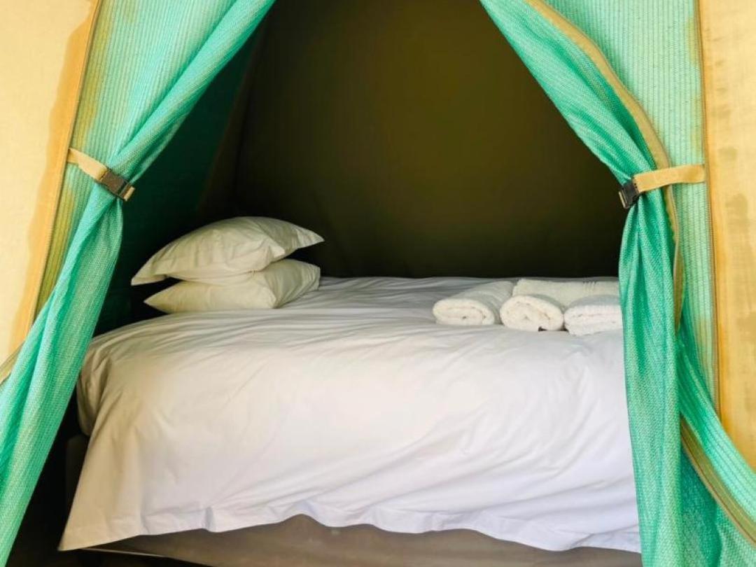 Brandberg White Lady Lodge Uis Bagian luar foto