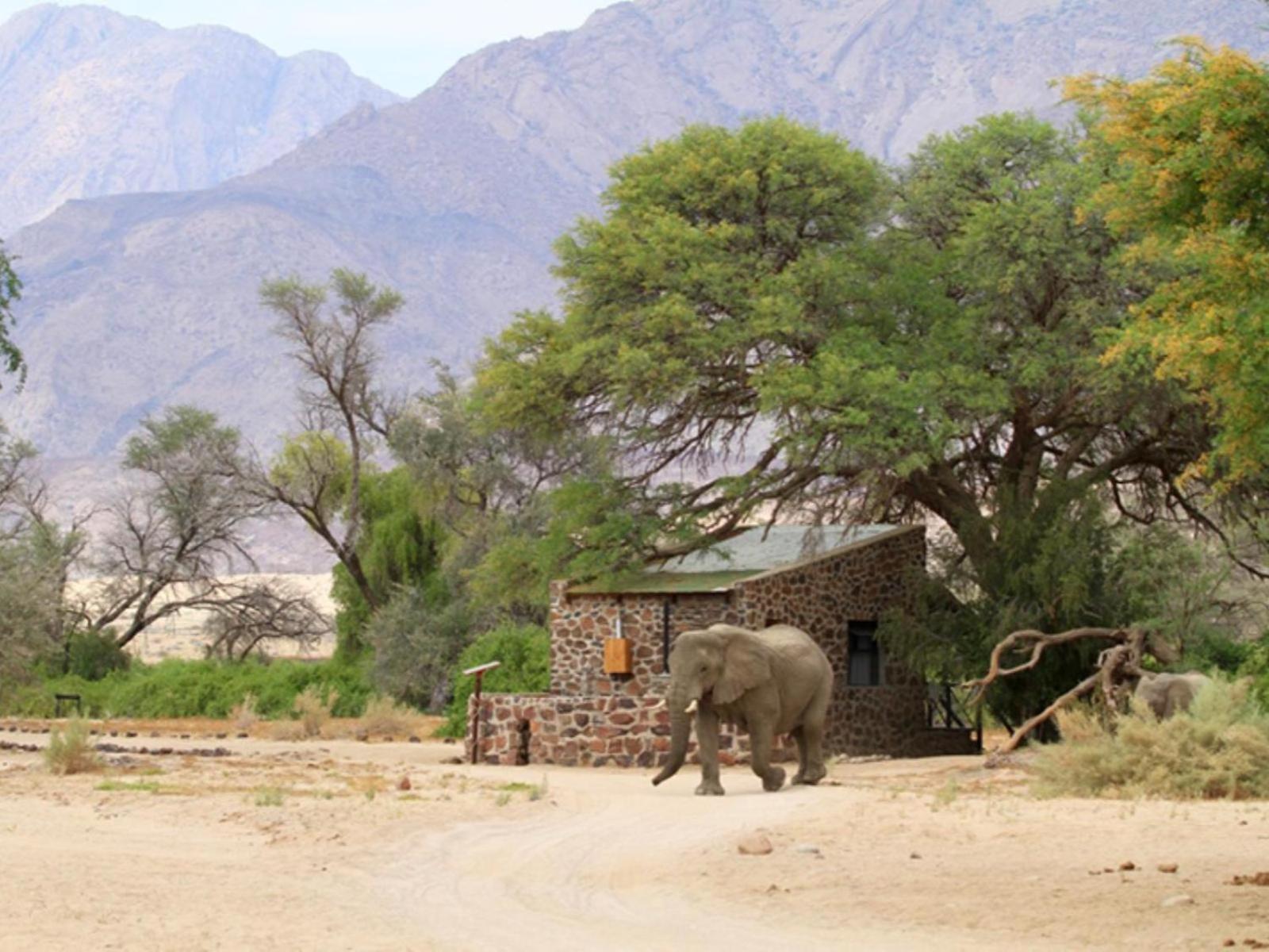 Brandberg White Lady Lodge Uis Bagian luar foto