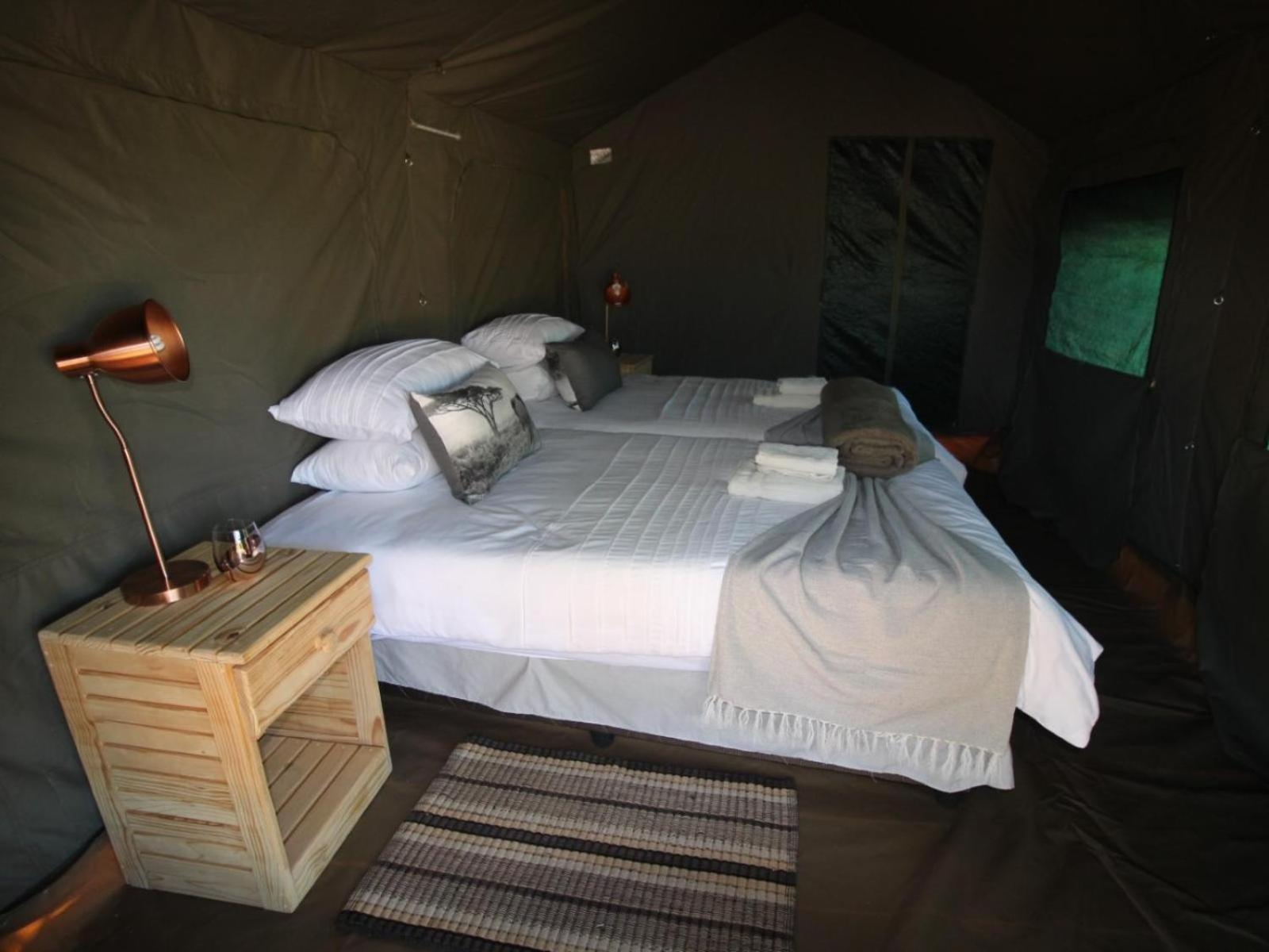 Brandberg White Lady Lodge Uis Bagian luar foto