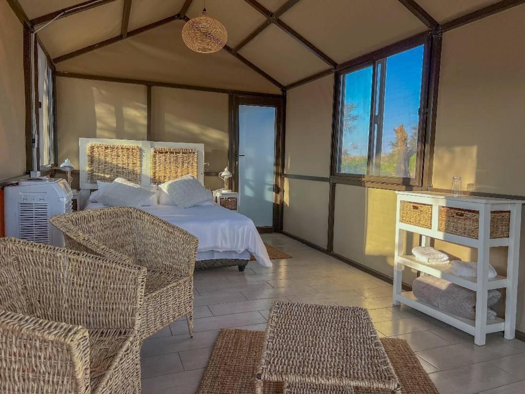 Brandberg White Lady Lodge Uis Bagian luar foto