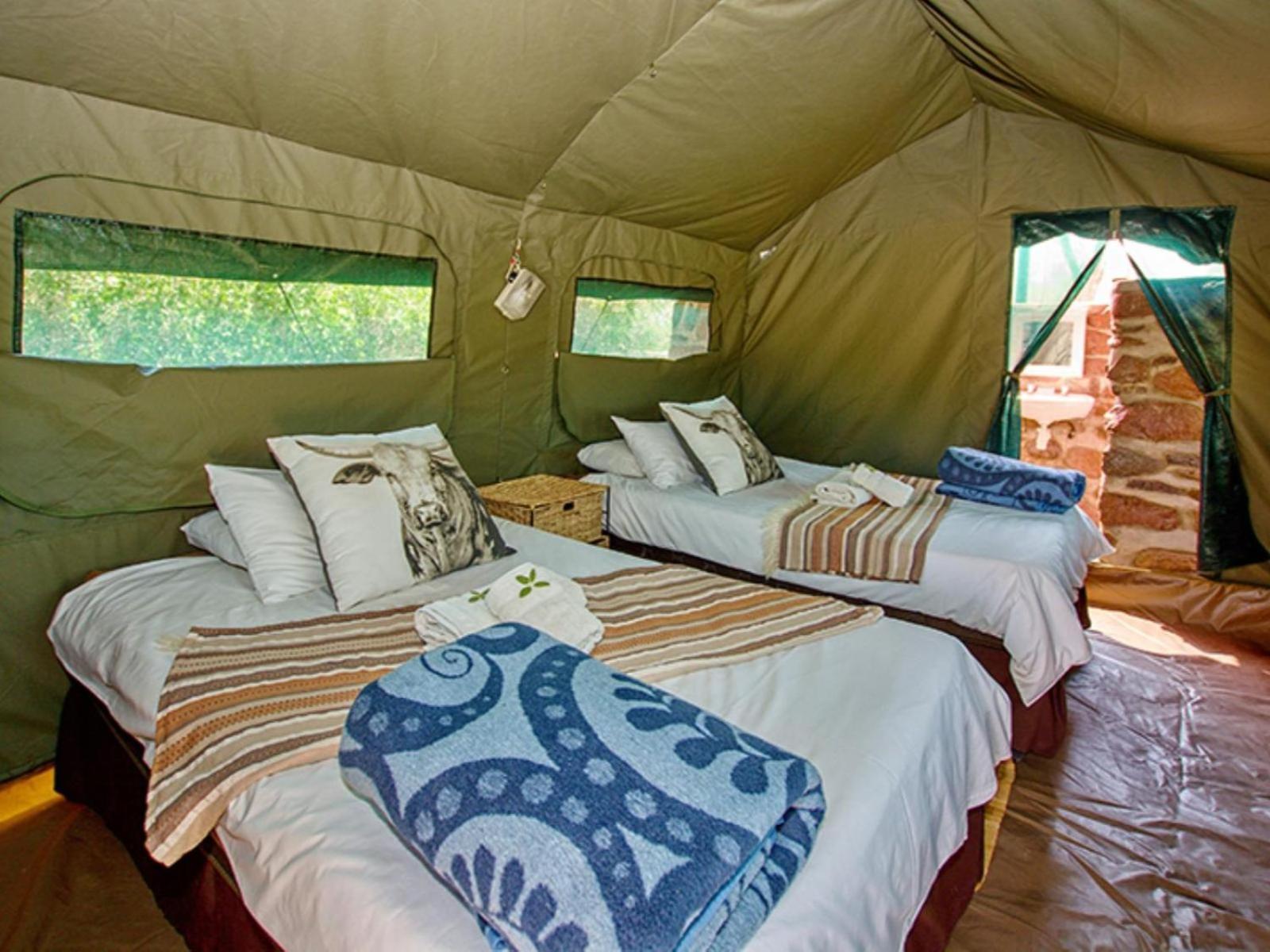 Brandberg White Lady Lodge Uis Bagian luar foto