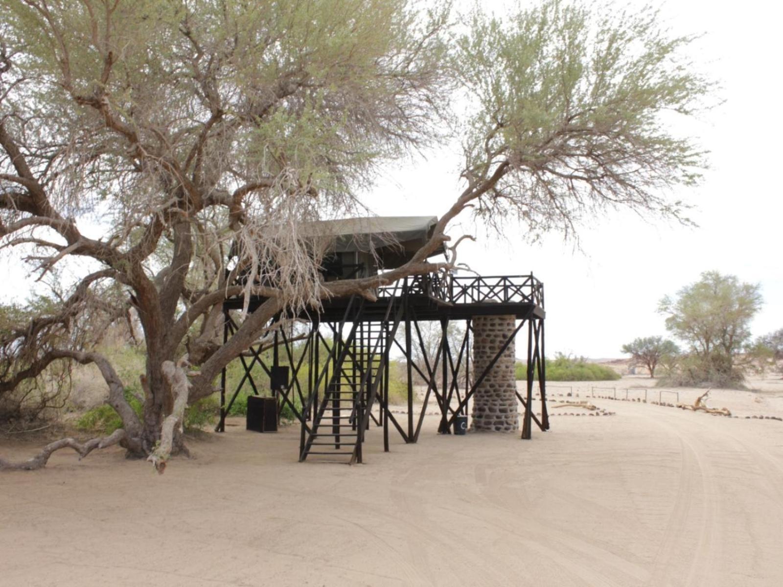 Brandberg White Lady Lodge Uis Bagian luar foto